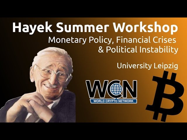 Final remarks on the Hayek Summer Workshop episode artwork