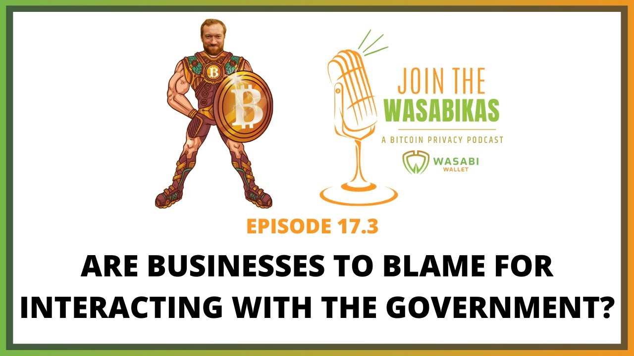17.3 Are Businesses to Blame for Interacting with the Government? || Matthew Mežinskis episode artwork