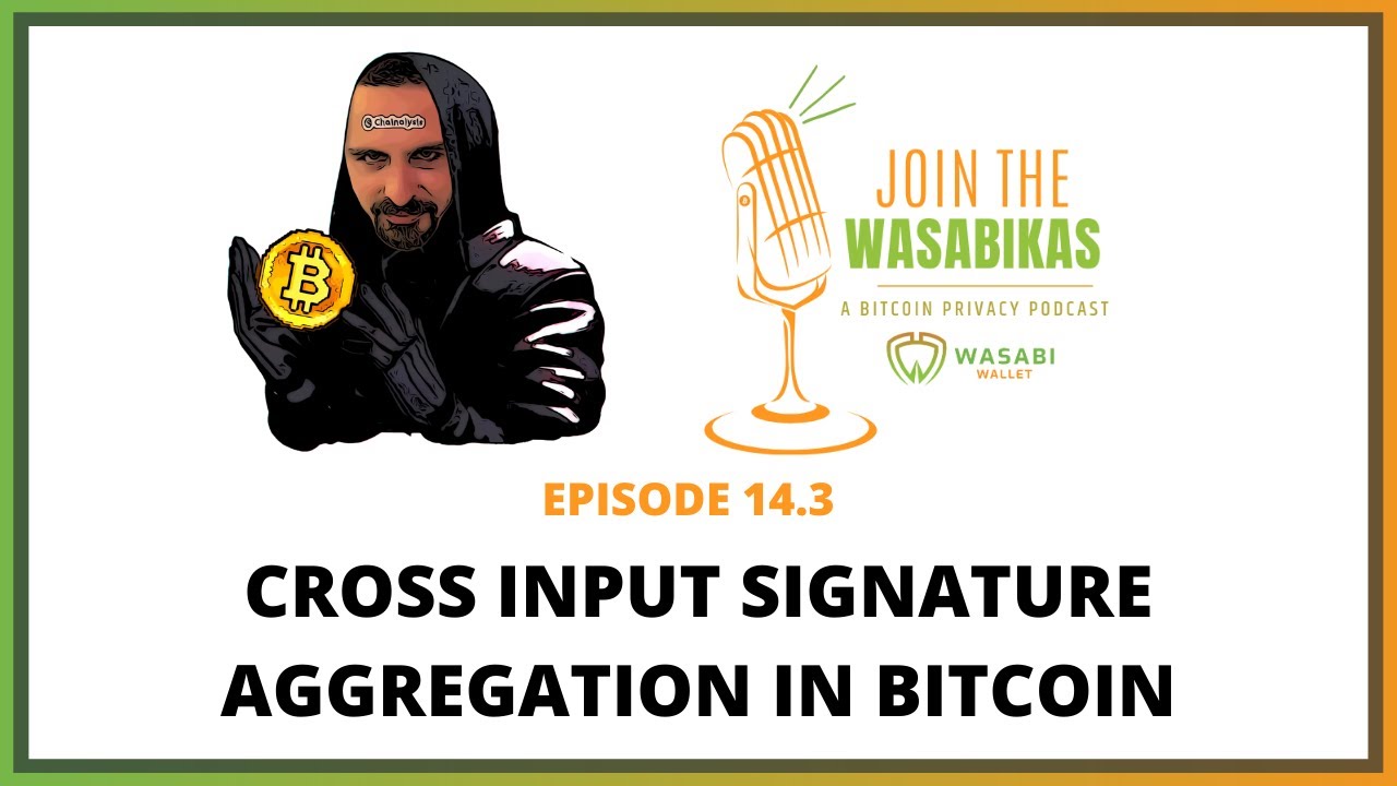 14.3 Cross Input Signature Aggregation in Bitcoin || Lloyd Fournier episode artwork