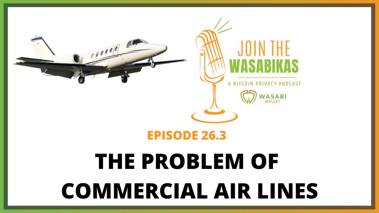 26.3 The Problem of Commercial Air Lines || Roger Proctor episode artwork