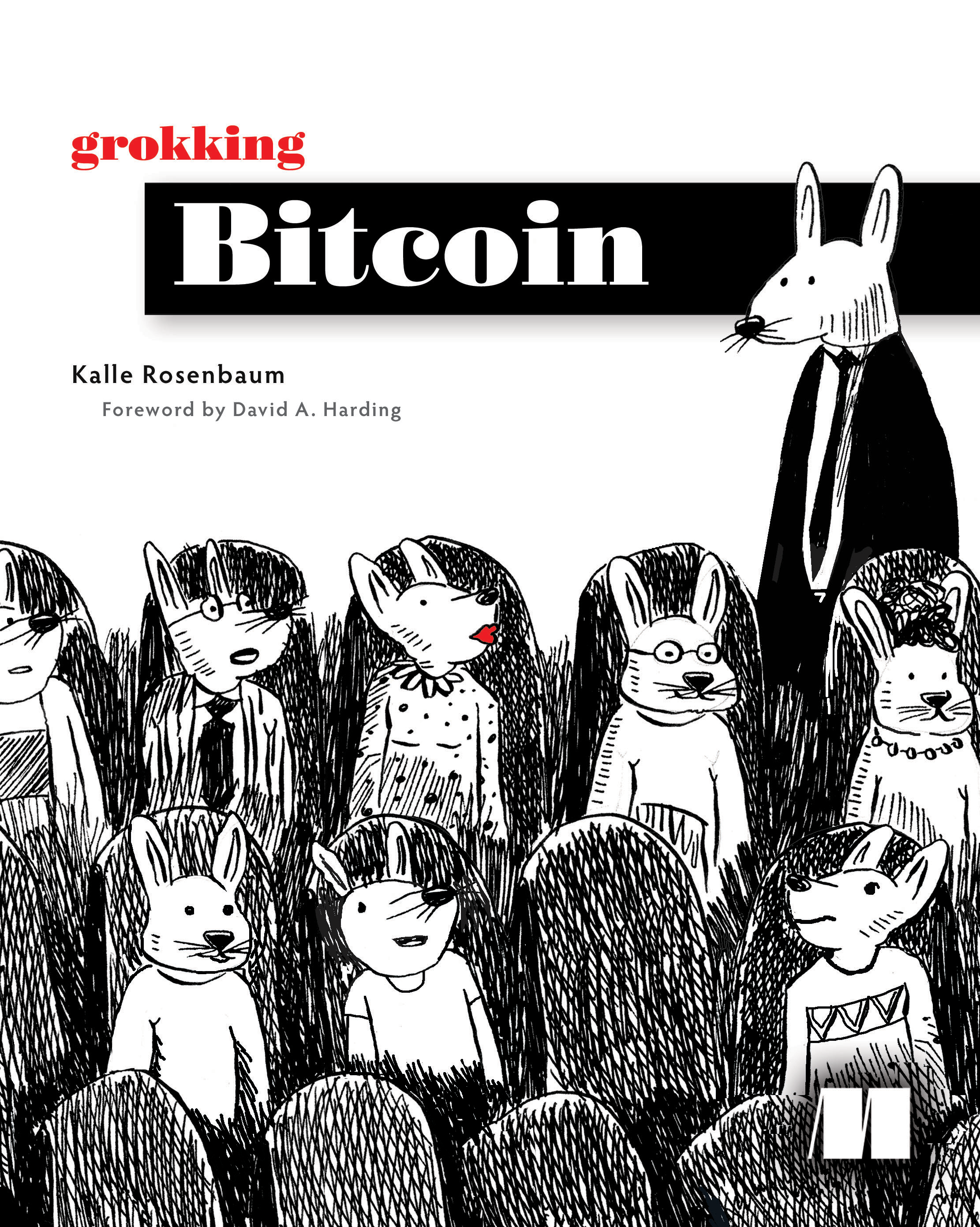 Grokking Bitcoin cover
