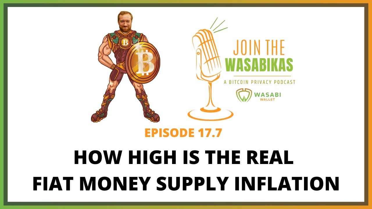 17.7 How high is the REAL Fiat Money Supply Inflation || Matthew Mežinskis episode artwork