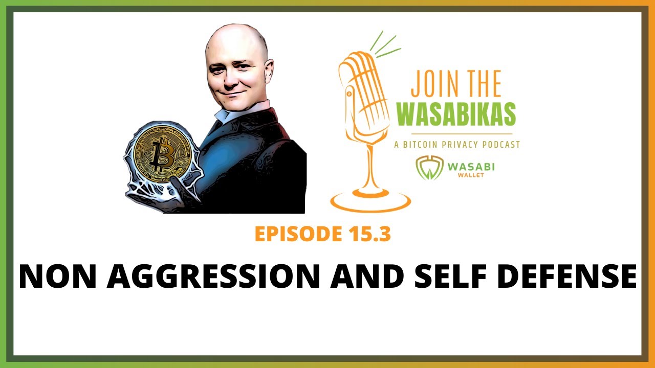 15.3 Non Aggression and Self Defense || Stephan Kinsella episode artwork