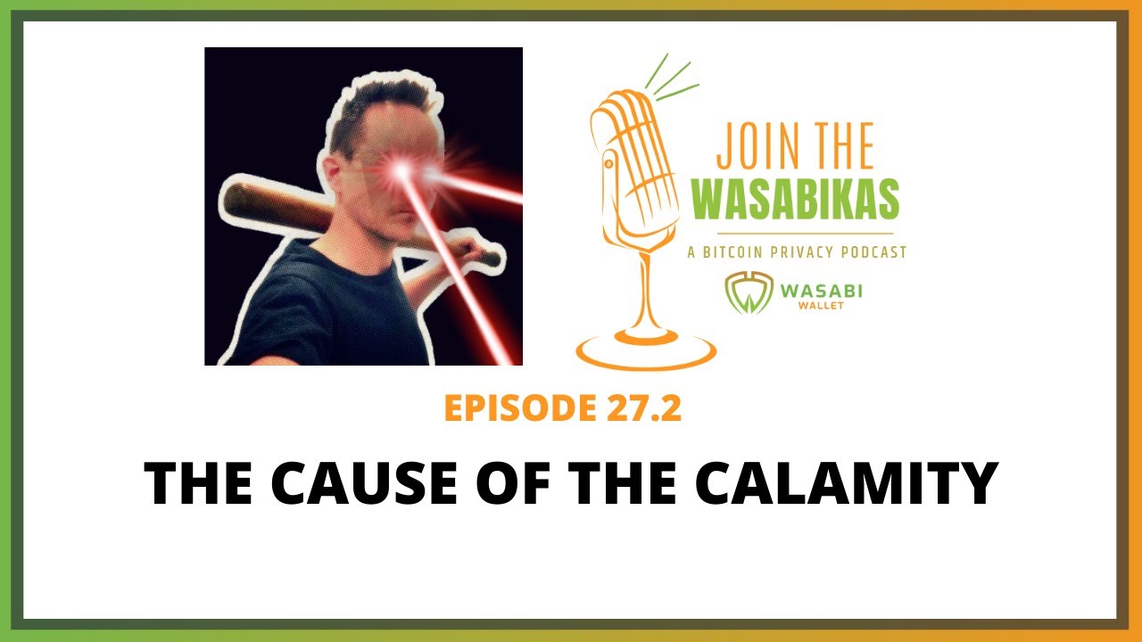 27.2 The Cause of the Calamity || Omnifinn episode artwork